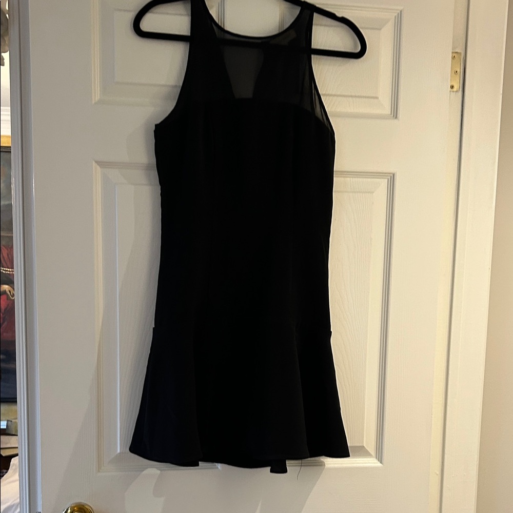 Black Swan Black Sleeveless Mesh Yoke A-Line Dress